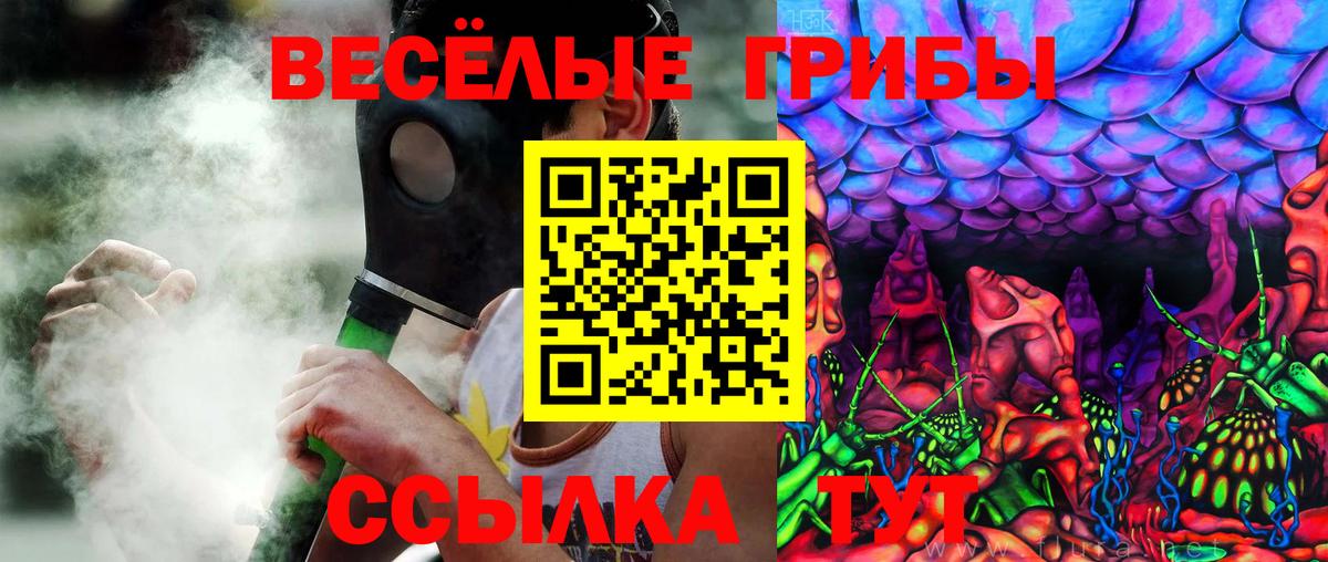 Галлюциногенные грибы Psilocybine cubensis  Вход с VPN  Псилоцибиновые грибы MAGIC MUSHROOMS  Сорочинск 