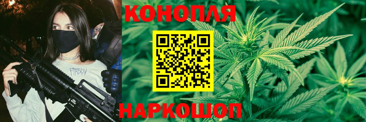 Каннабис сатива Сорочинск